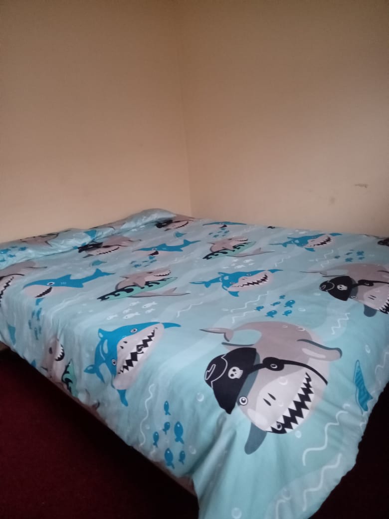 3 Bedroom Property for Sale in Motherwell Nu7 Eastern Cape